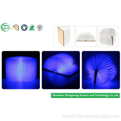 Environmental Protection Wood Lumio Book Lamp